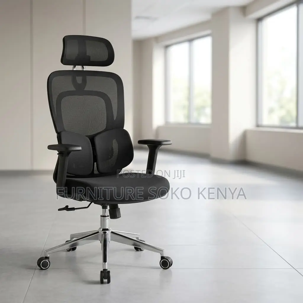 Executive Fabric Chairs | Orthopedic Dual Backrest Chair