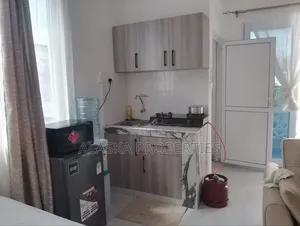 Studio Apartment to Let in Nyali Estate