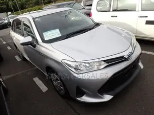 Toyota Corolla Fielder 2019 Silver