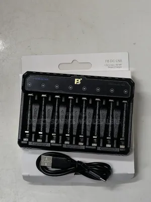 Smart Type-C Battery Charger for Torches, Toys and Electronics