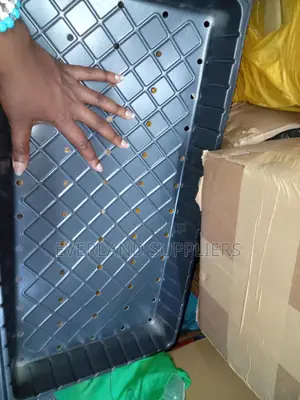Drainage-Friendly Nursery Trays - With Holes