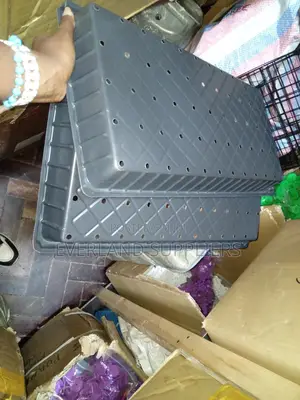 Hydroponic Trays for Seedling Care - With Holes