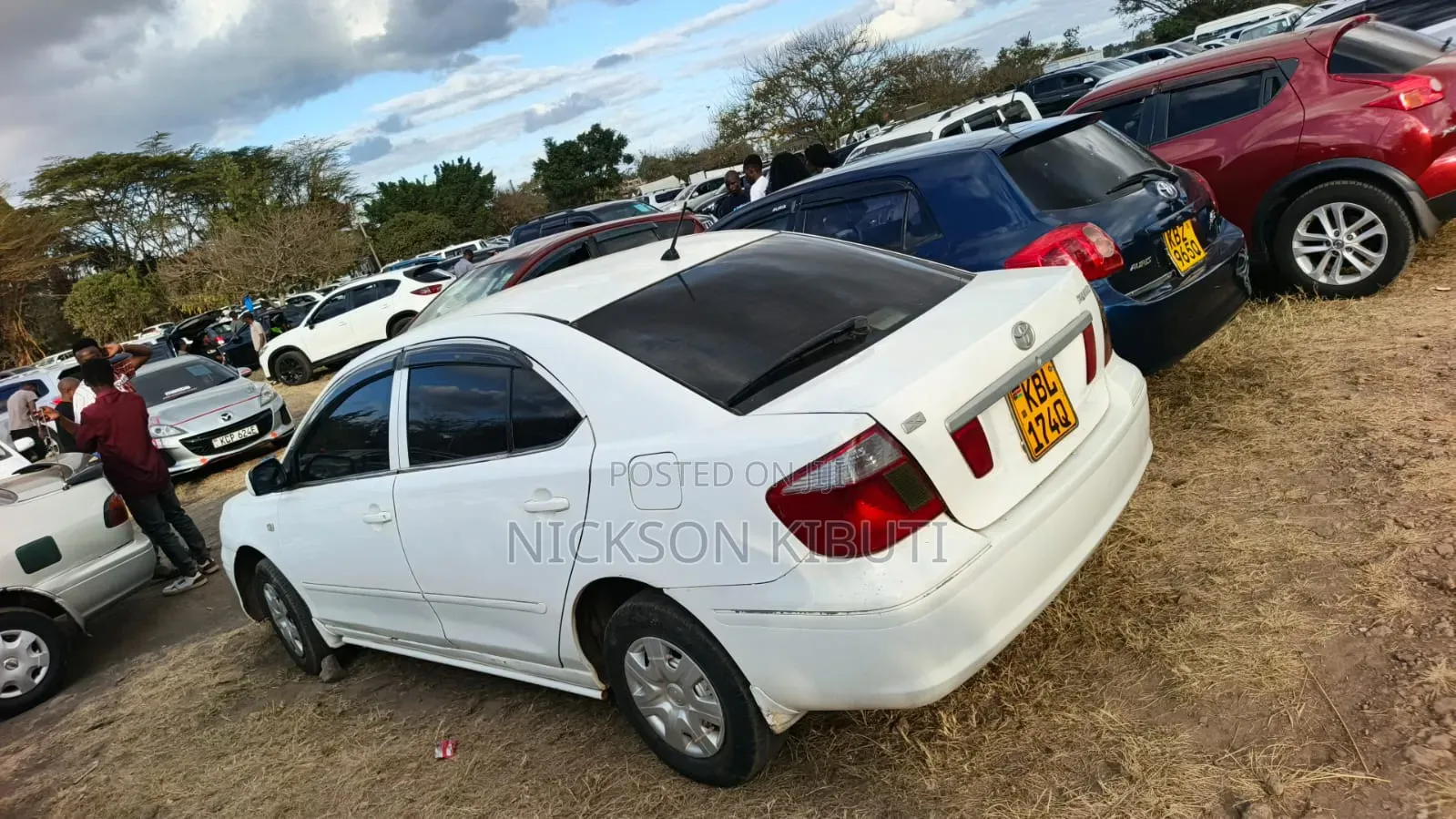 Toyota Premio 2010 White