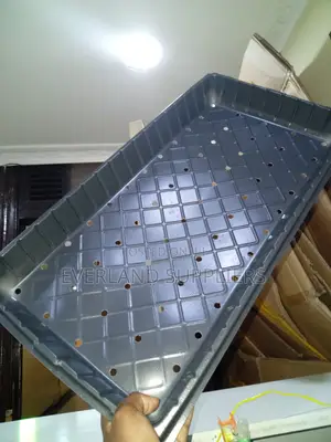 . Perforated Trays for Green Plant Growth - With Holes