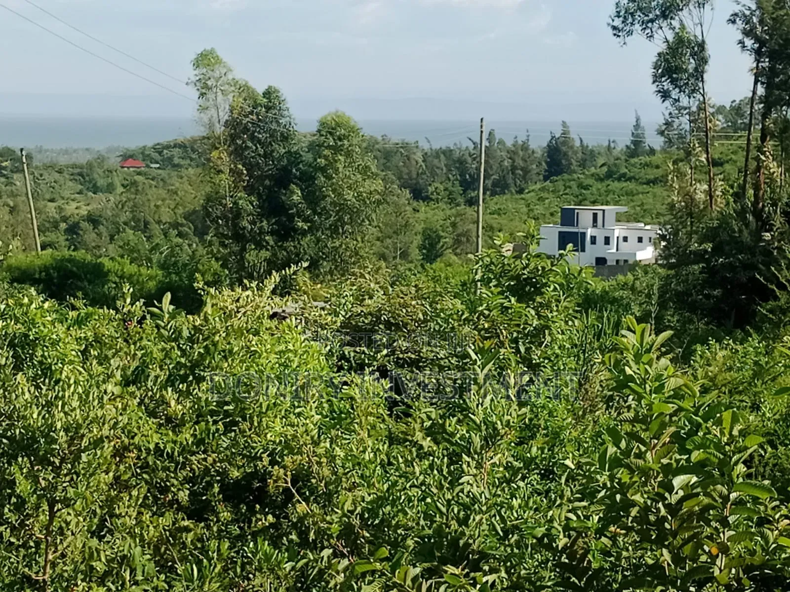 Half Acre Plot in Kisumu Ojolla for Sale.