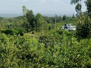 Half Acre Plot in Kisumu Ojolla for Sale.