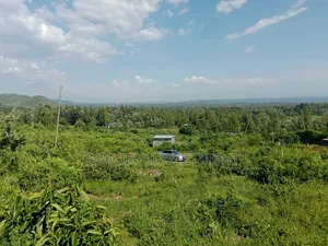 Half Acre Plot in Kisumu Ojolla for Sale.