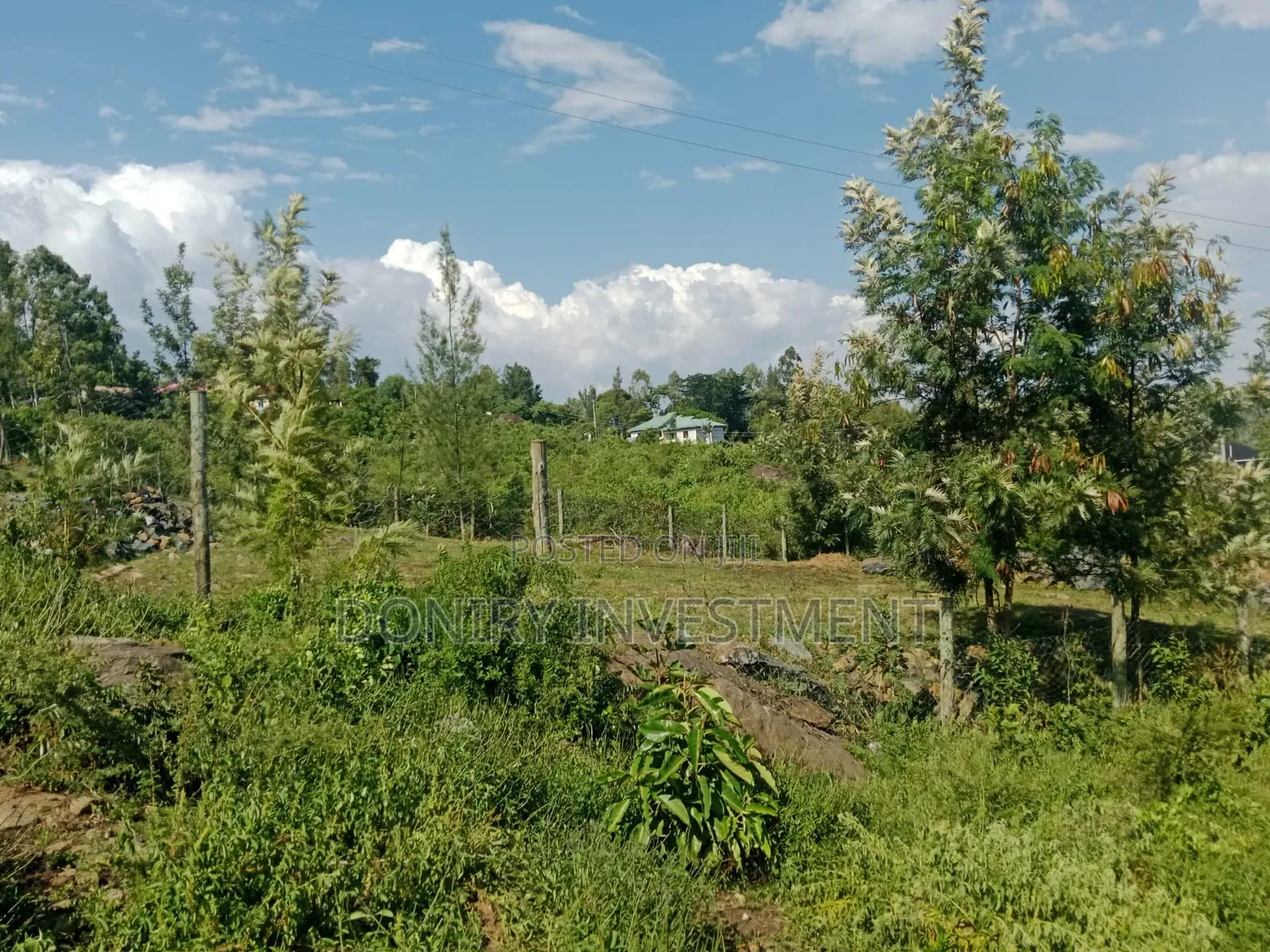 Half Acre Plot in Kisumu Ojolla for Sale.