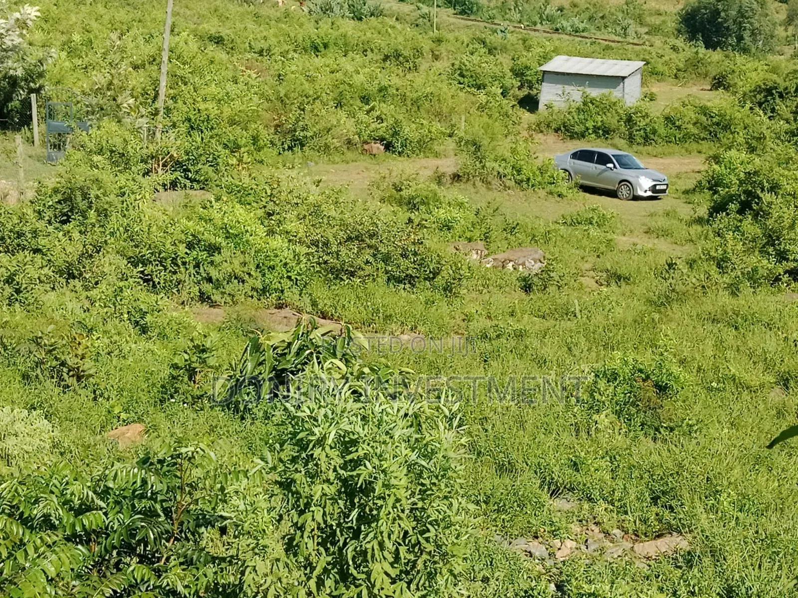 Half Acre Plot in Kisumu Ojolla for Sale.
