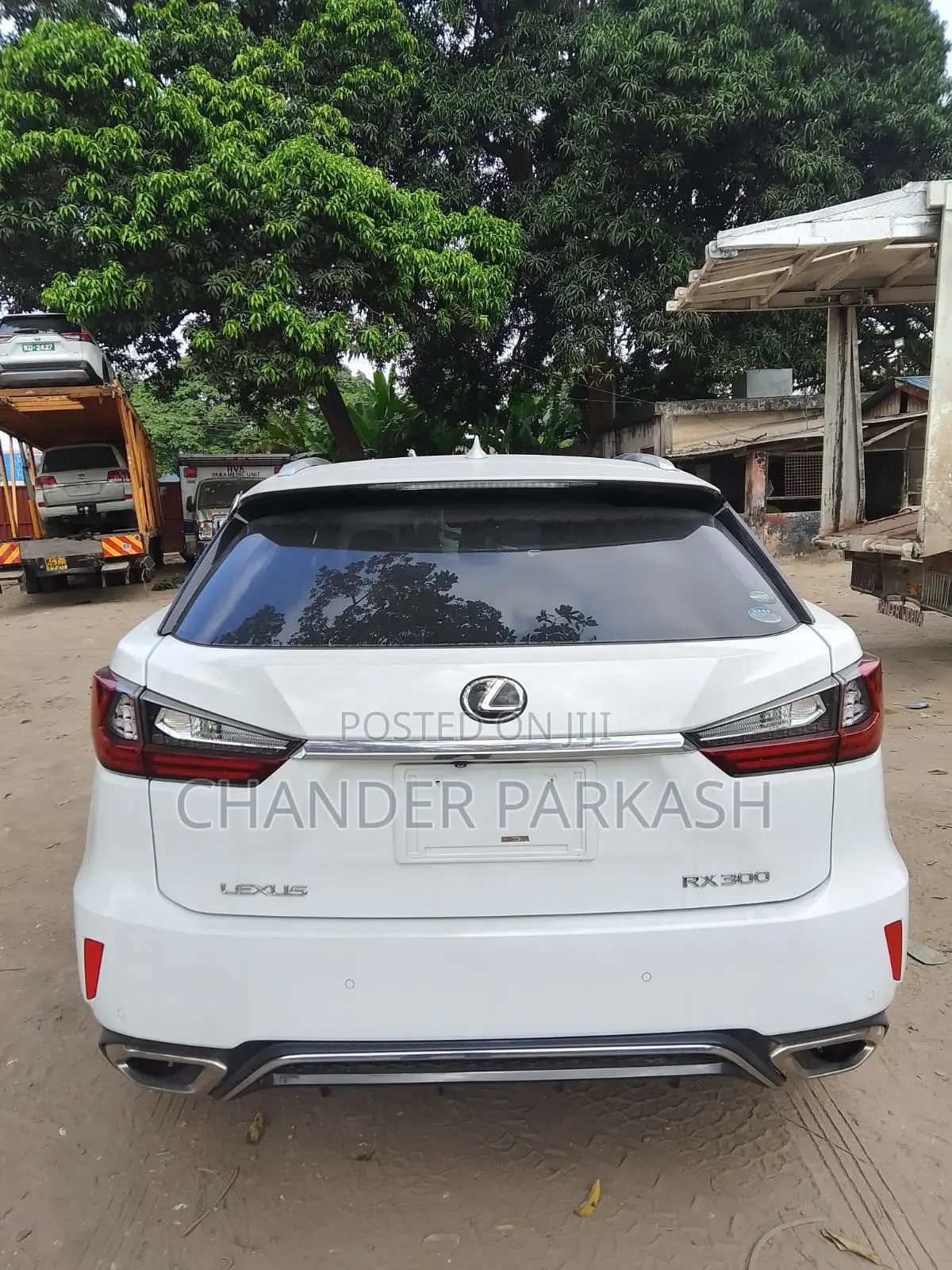 Lexus RX 300 4WD 2019 Pearl