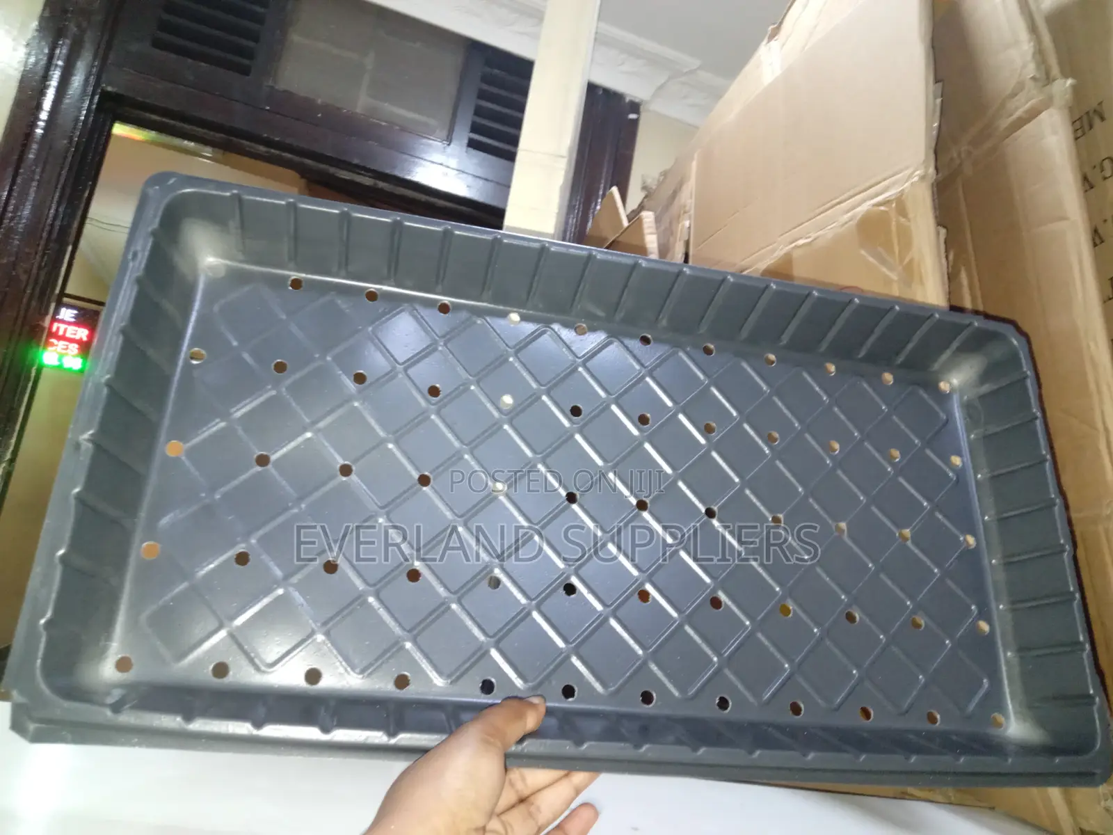 Hydroponic Trays for Controlled Watering - With Holes