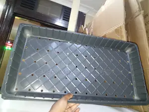 Hydroponic Trays for Controlled Watering - With Holes