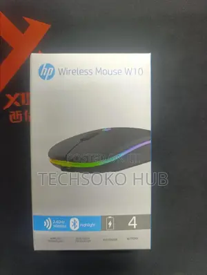 Wireless Mouse W10
