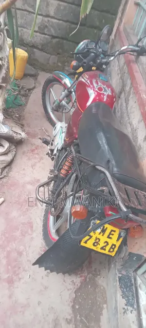 Bajaj Boxer 100 2019 Red