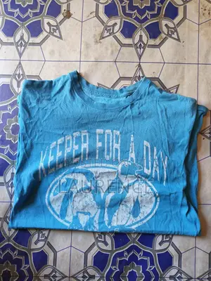 Men's Second-Hand T-Shirt in Good Condition