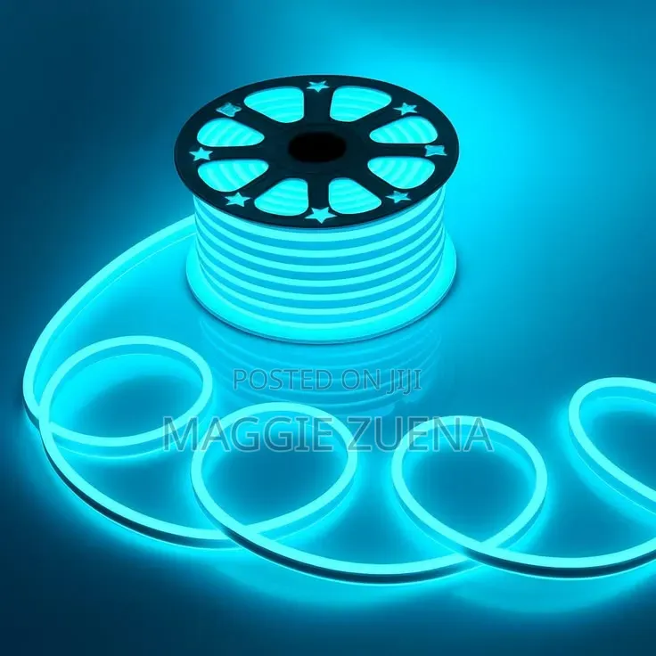 Led Neon Lights