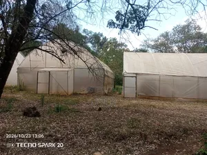 Green Houses