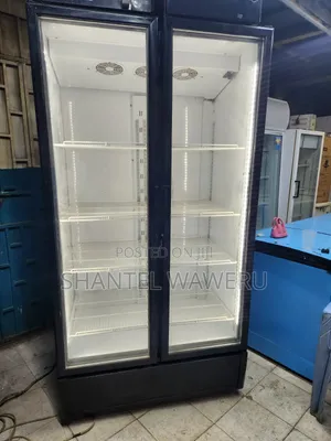 Best Big Double Fridge Show Case