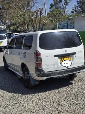 Toyota Probox 2010 White