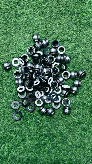 Rutan Pump 250W 24V Seals
