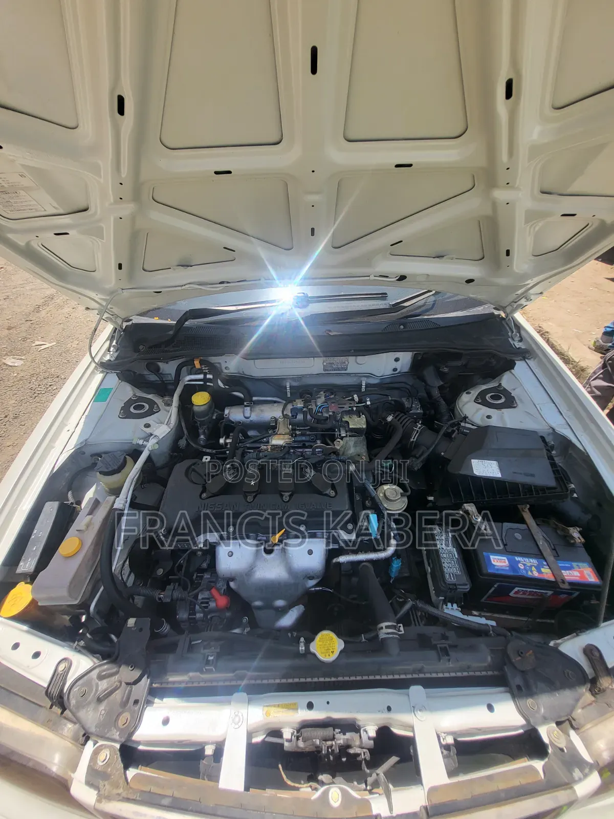 Nissan FB15 2006 Pearl