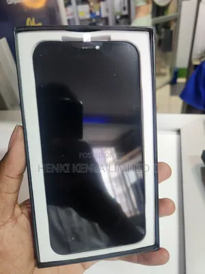 iPhone 12 Pro Max Screen Oled