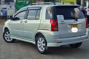 Toyota Raum 2005 Gray