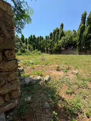 Prime Plot Quarter an Acre Nyali