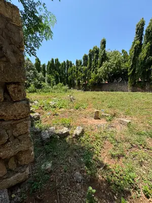 Prime Plot Quarter an Acre Nyali