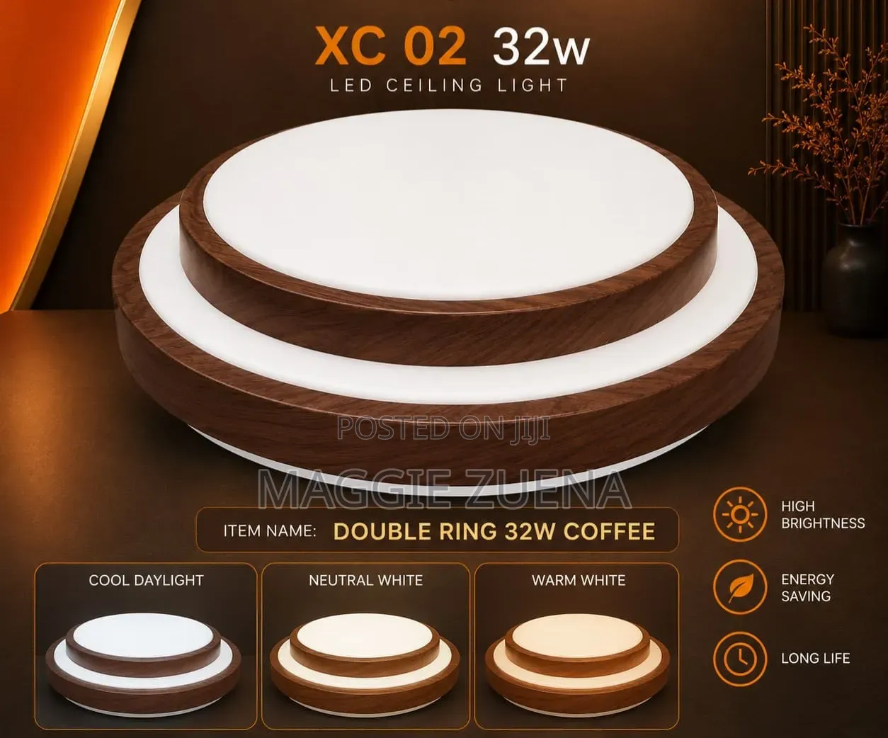 Led Ceiling Fixture