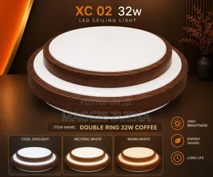 Led Ceiling Fixture