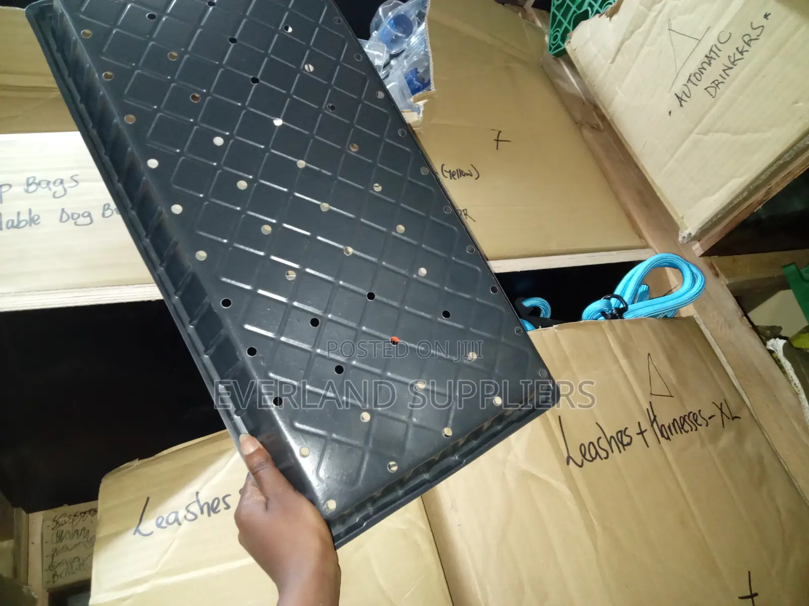 Perforated Trays for Plant Starters - With Holes