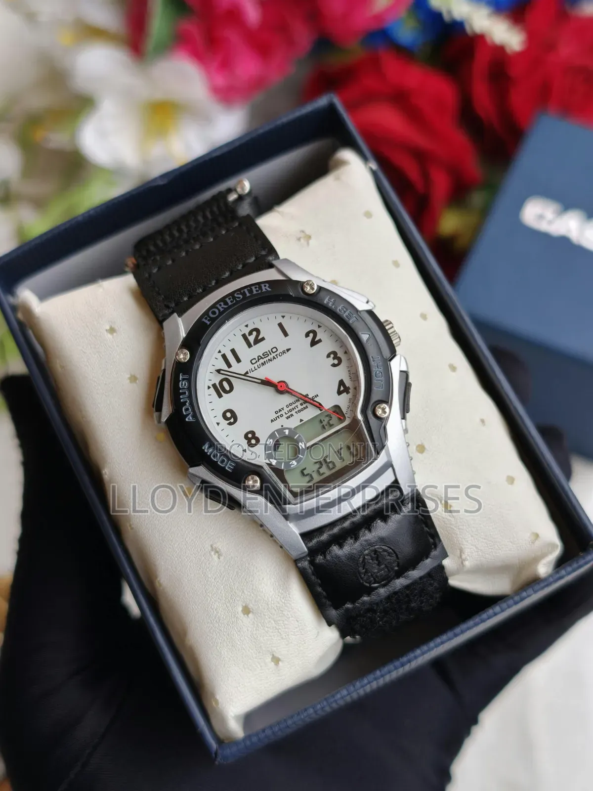 *Casio Forester
