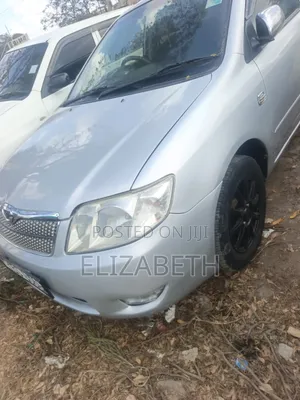 Toyota Corolla Fielder 2005 Silver