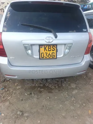 Toyota Corolla Fielder 2005 Silver