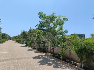 Beach One Plot for Sale1/2 Acre