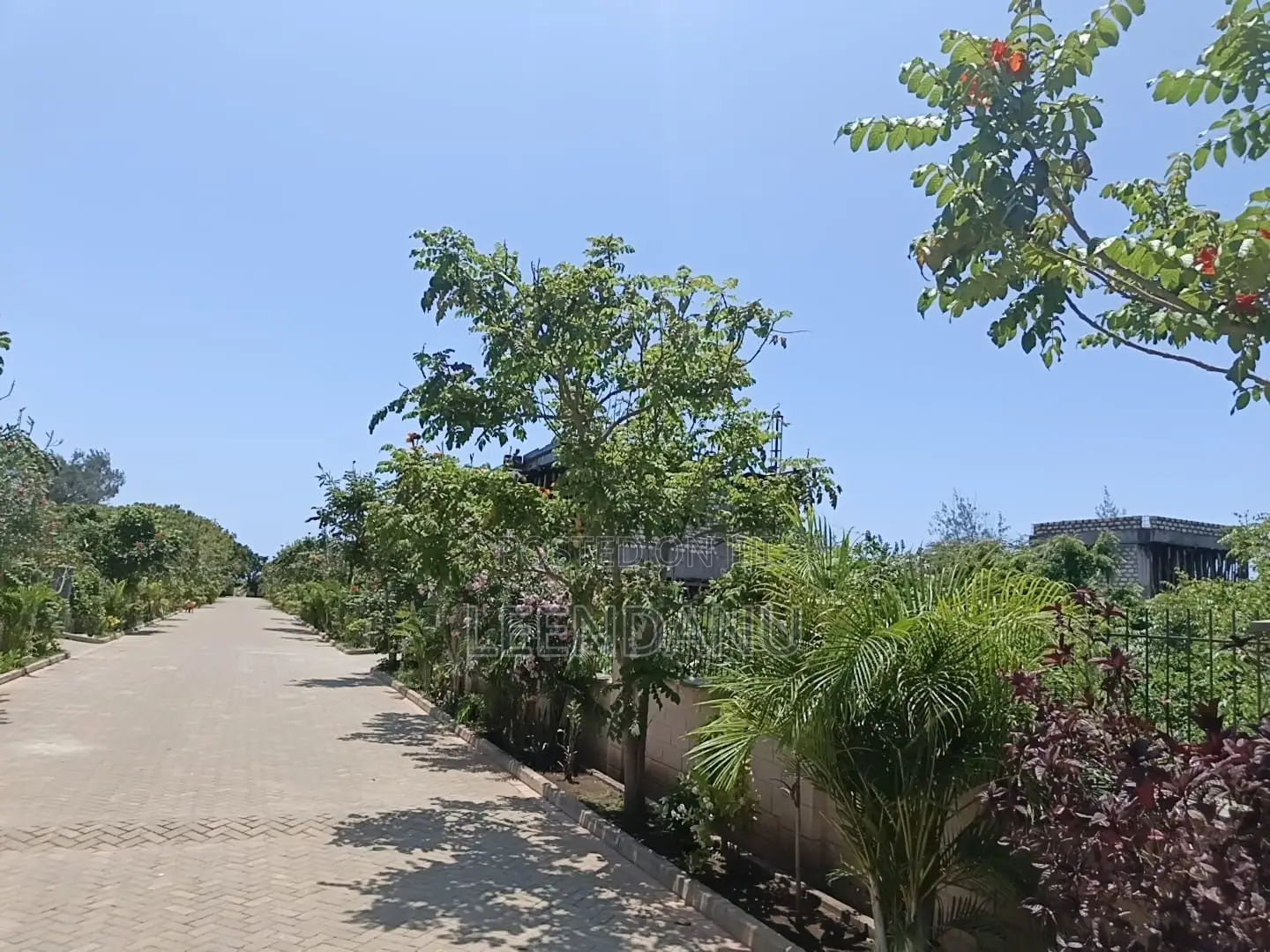 Beach One Plot for Sale1/2 Acre