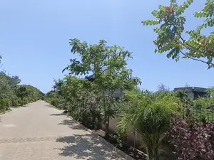 Beach One Plot for Sale1/2 Acre