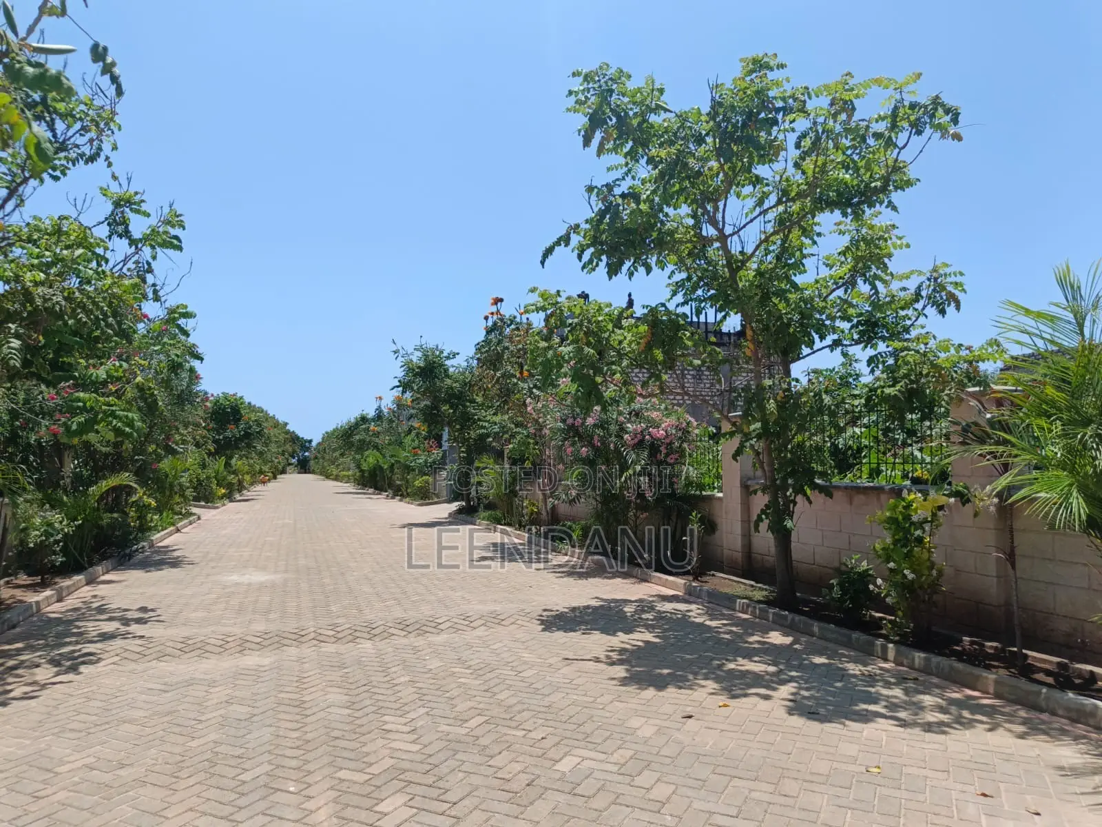 Beach One Plot for Sale1/2 Acre