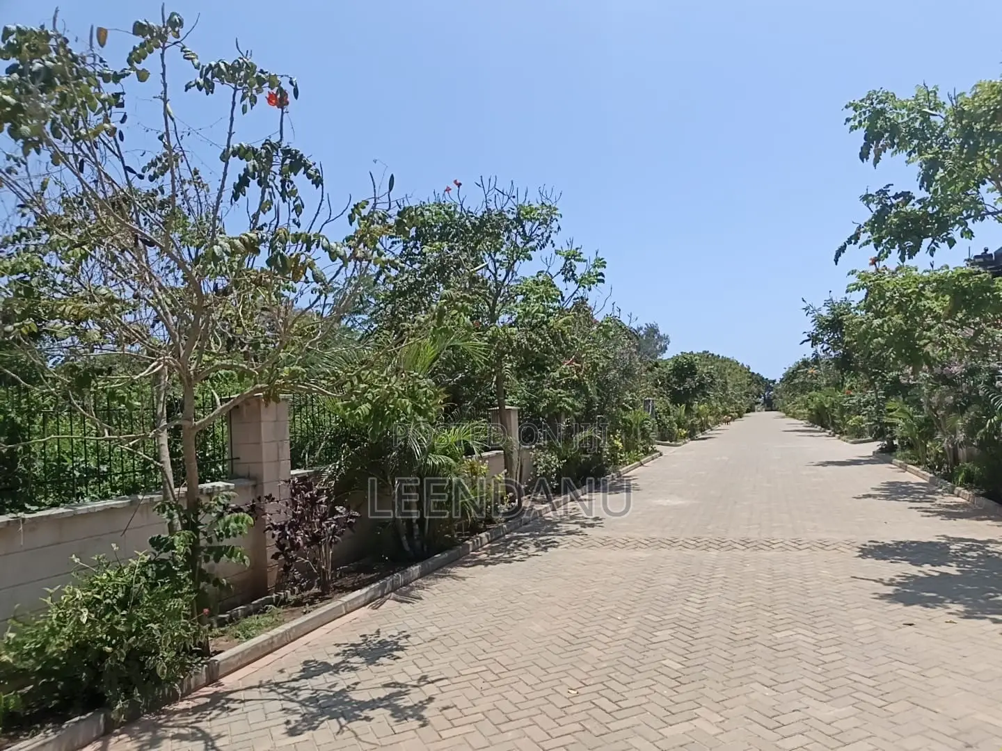 Beach One Plot for Sale1/2 Acre