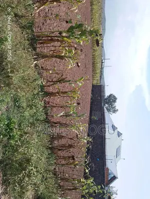 1/4plot for Sale at Pipeline Nakuru
