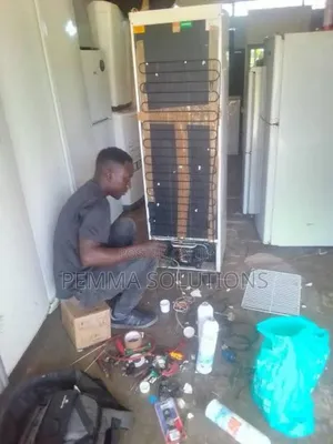 Professional Refrigerator Repair