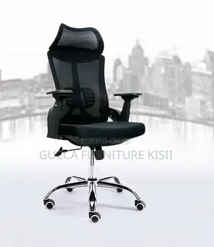 Full Back Orthopedic Mesh Headrest Executive Chair