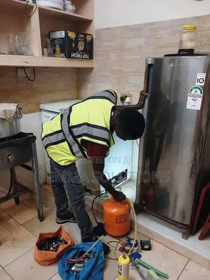 Expert Fridge Repair Services