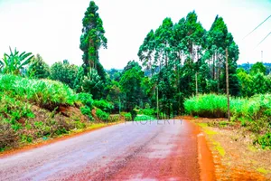 Prime Residential Plots for Sale in Kabete/Nyathuna