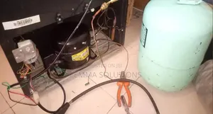 Professional Fridge Repair