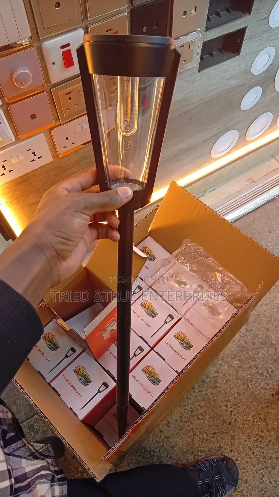 Solar Garden Light