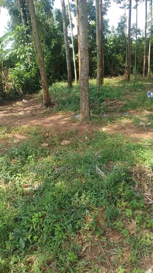 3acres Matungu on Sale.