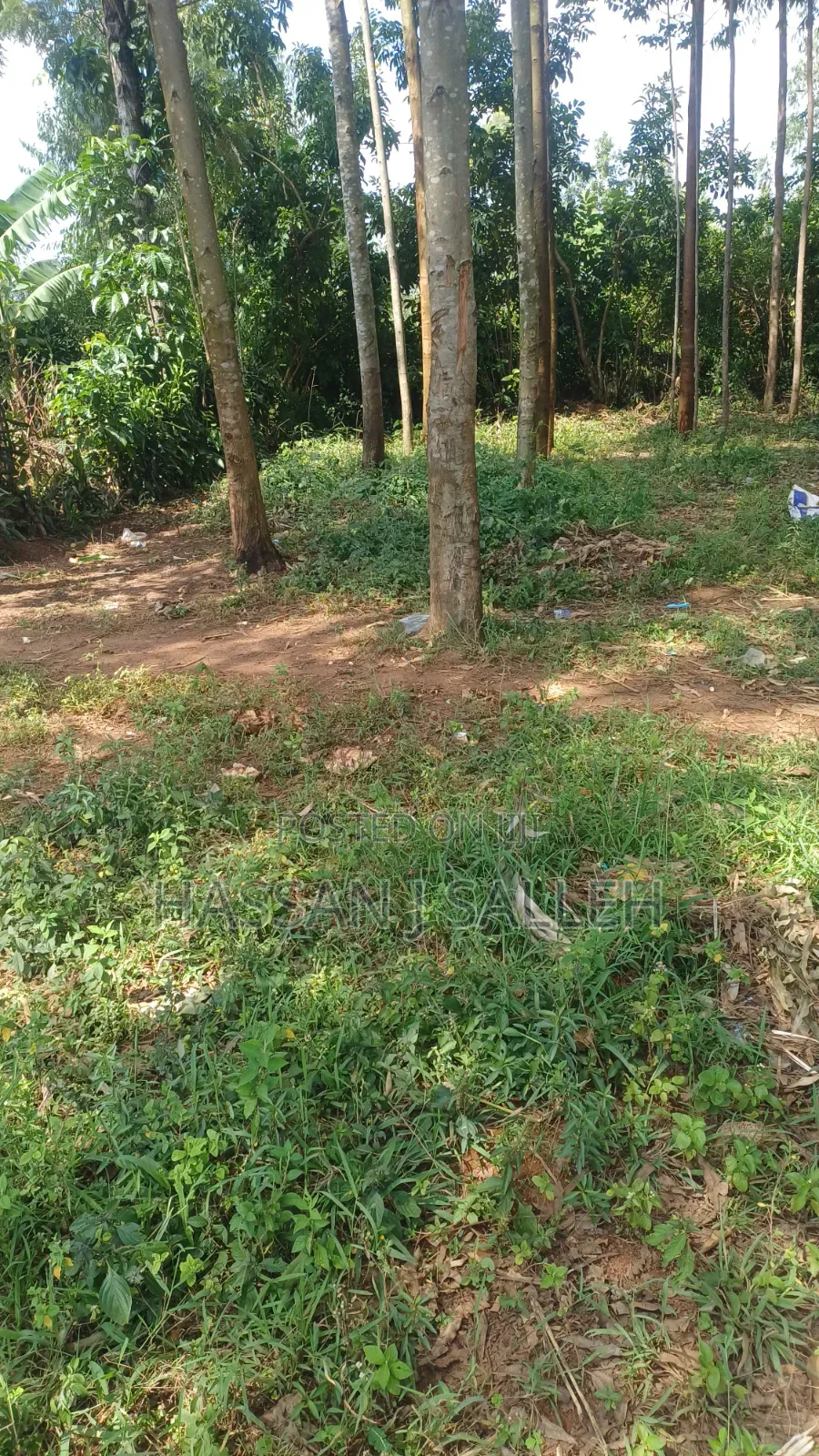 3acres Matungu on Sale.