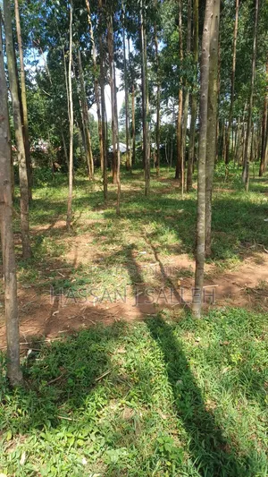 3acres Matungu on Sale.